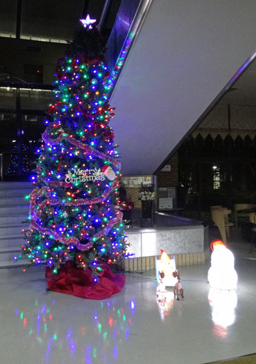 181122_tree.jpg