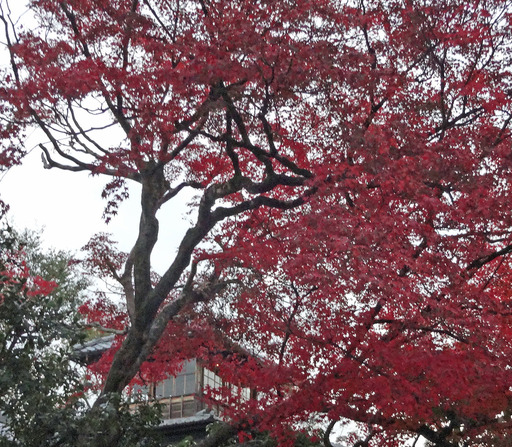 181127_mitui.jpg