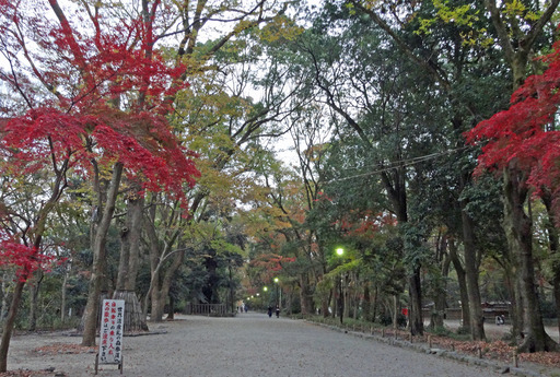 181127_tadasu3.jpg