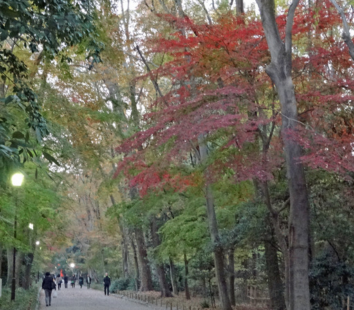 181127_tadasu4.jpg
