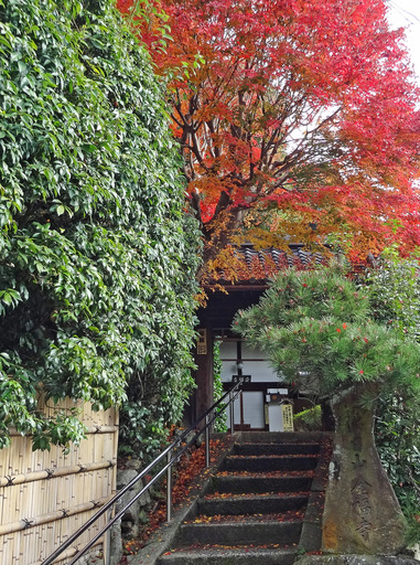 181204_kinpuku.jpg