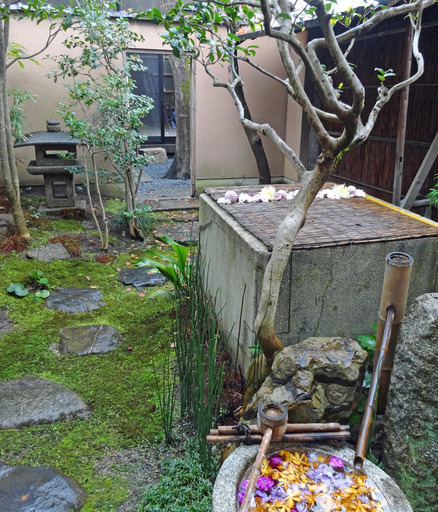 181222_garden.jpg