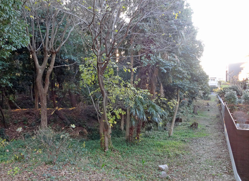 181224_tuka6.jpg