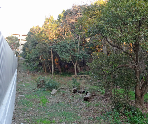 181224_tuka7.jpg