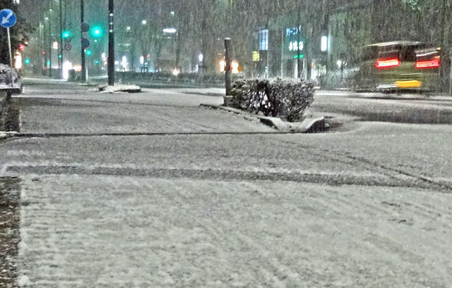 190126_snow.jpg