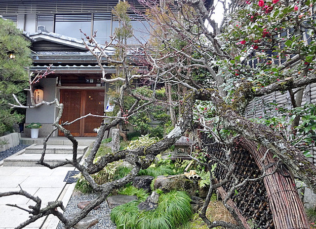 190215_rokusei2.jpg