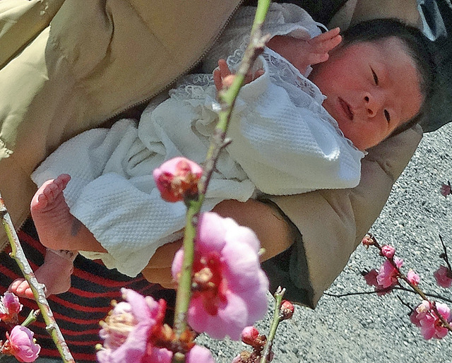 190225_baby2.jpg