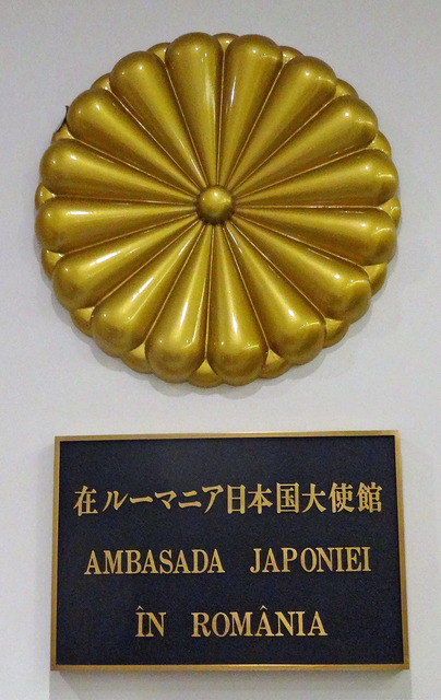 190308_taisikan.jpg
