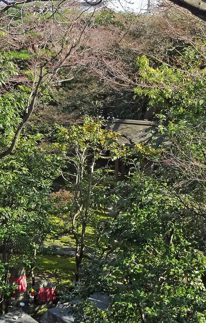 190318_izusen5.jpg