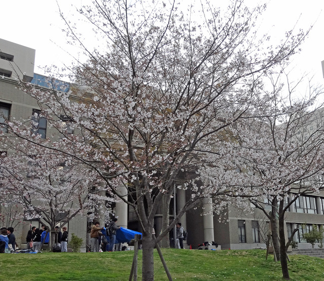 190401_suita.jpg