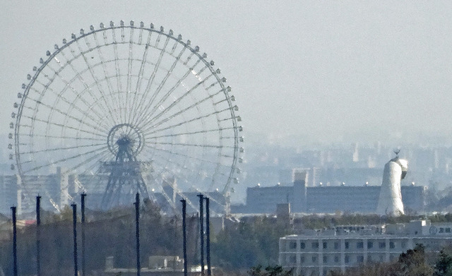190404_banpaku.jpg