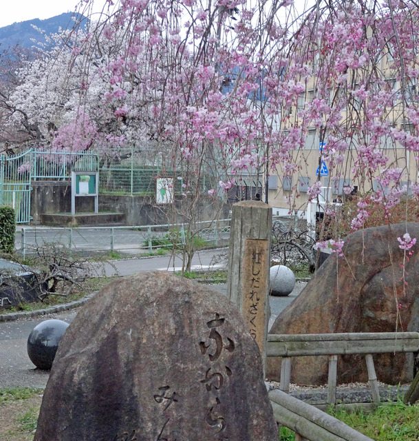 190411_beni.jpg