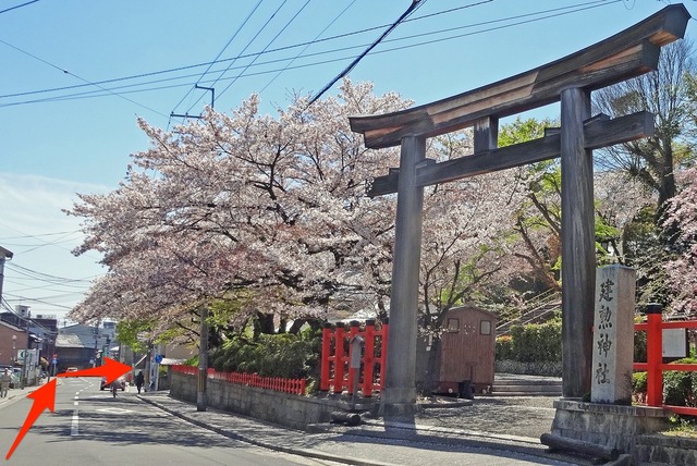 190413_kenkun.jpg