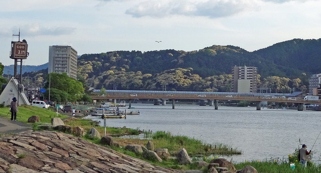 190517_seta1.jpg