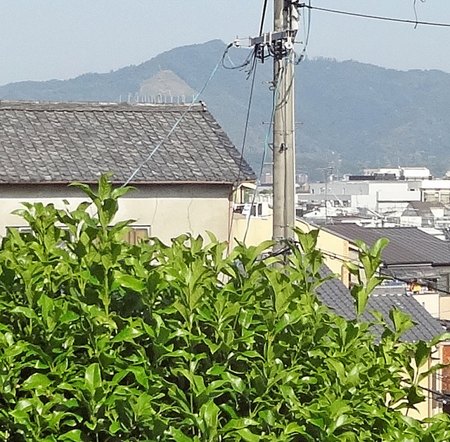 190525_daimonji.jpg