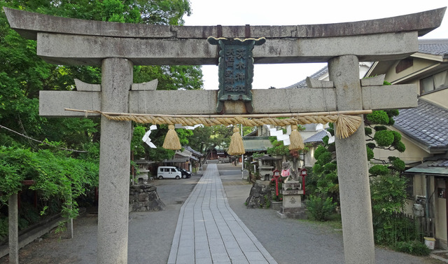 190530_ibaraki2.jpg
