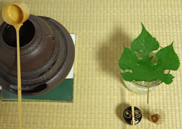 190701_habuta.gif