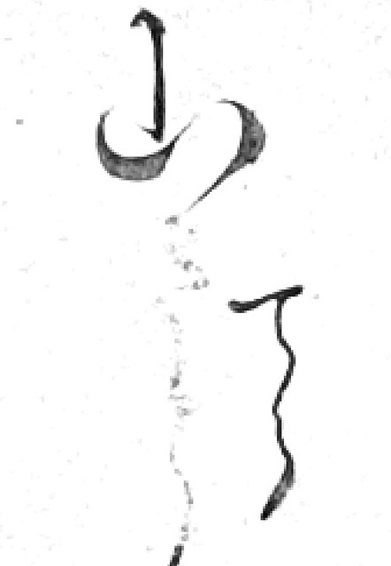 190803_tera.jpg