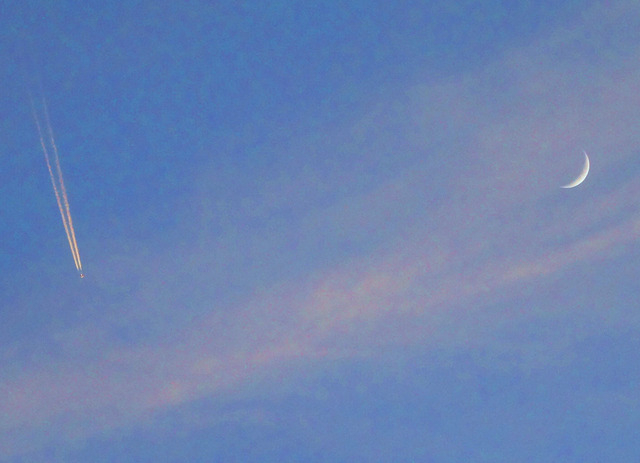 190804_yuuh0.jpg