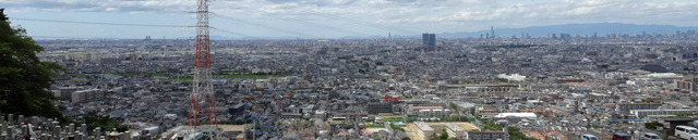 190812_left.jpg