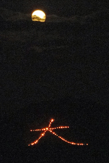 190817_dai3.jpg