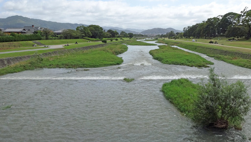 191013_kamogawa.jpg