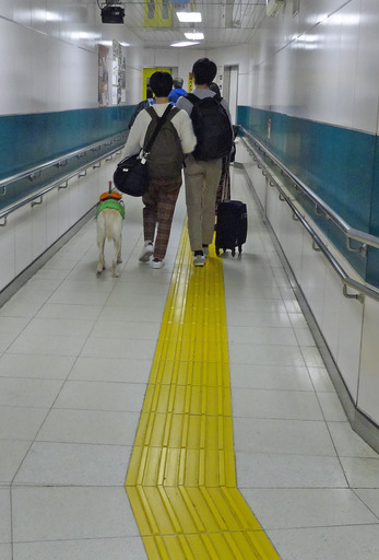 191103_dog1.jpg
