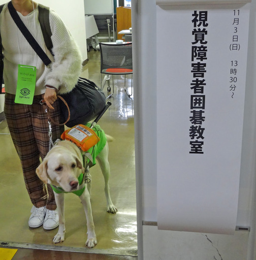191103_dog2.jpg