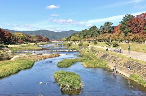 191110_kamogawa.jpg