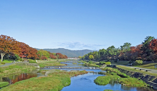 191115_kamogawa.jpg