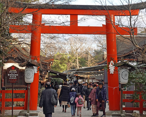 200101_kamo1.jpg