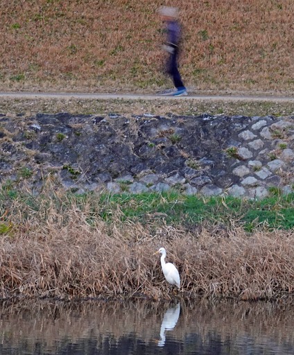 200102_sagi2.jpg
