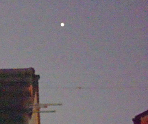 200103_kinsei.jpg