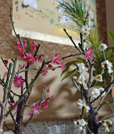 200106_ume.jpg
