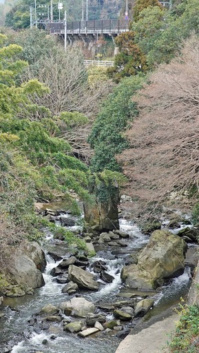 200112_tatsuta.jpg