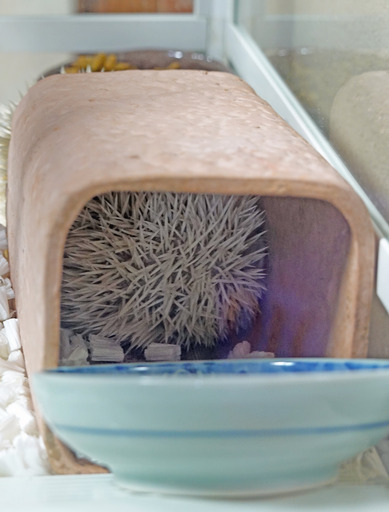 200116_mouse3.jpg