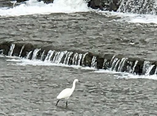 200124_sagi2.jpg