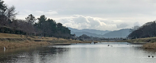 200124_sagi&kamo0.jpg