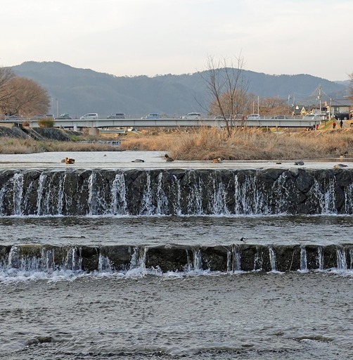 200224_kitayama.jpg
