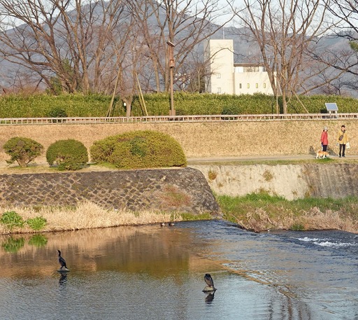 200224_kurou.jpg