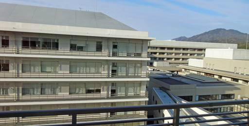 200303_seki1.jpg