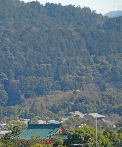 200307_jingu.jpg