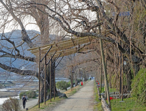 200313_nakaragi2.jpg