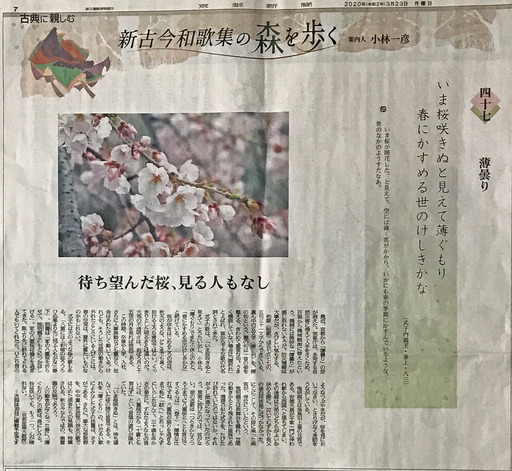200323_usugumori.jpg