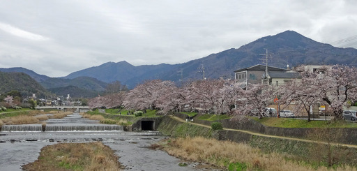 200328_takano.jpg