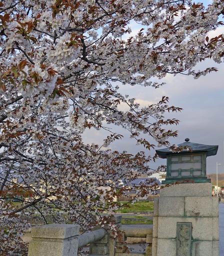 200329_bridge.jpg