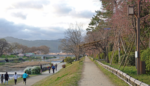 200329_nakaragi5.jpg
