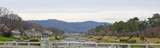 200330_kitayama.jpg