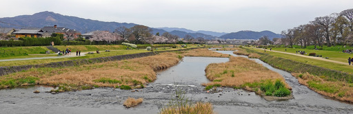200330_minami.jpg