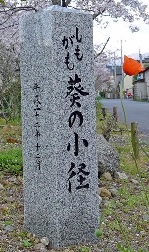 200402_sekihi1.jpg